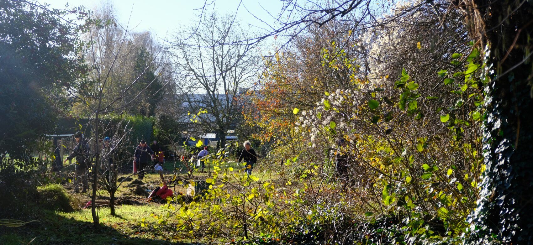 Jardin Vivace - L'école du jardin-forêt - Les Saprophytes
